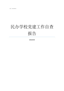 民办学校党建工作自查报告民办学校如何开展党建工作