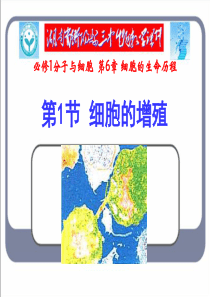 高三生物第一轮复习课件---细胞的增殖1