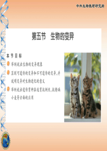 2014苏教版八年级生物下册22-5生物的变异