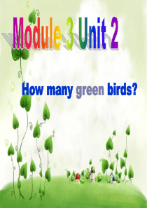 M3U2  how many  green birds