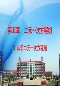新北师大数学(八上)5.1 认识二元一次方程组