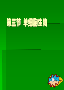 4.3《单细胞生物》课件、教案(苏教版七年级上)2-单细胞生物ppt