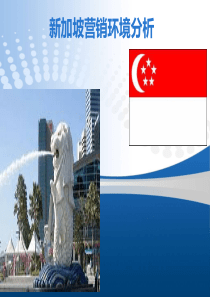 新加坡营销环境分析