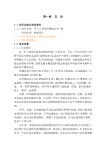 柳林县年产2万吨岩棉制品生产线可行性研究报告