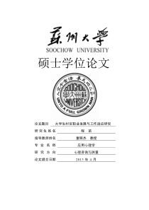 大学生村官职业发展与工作适应研究
