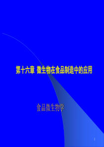 16-微生物在食品制造中的应用