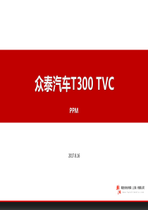 ZTQC《乐趣门》TVC广告PPM会议