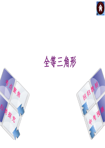 北师大2014年中考数学复习方案课件全等三角形(22张PPT)