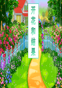 91初中生物《植物的开花和结果》ppt课件[1].ppt