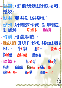 三疑三探优质课课件--我有一个梦想