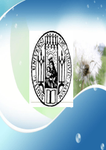 慕尼黑大学