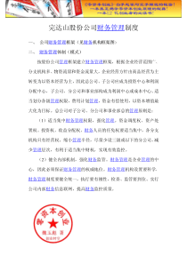 财务管理之公司财务管理制度框架.doc