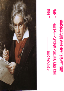 语文：13《音乐巨人贝多芬》课件(23张PPT)(人教版七年级下)