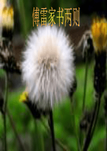 语文：2.7《傅雷家书两则》课件(2)(新人教版九年级上册)