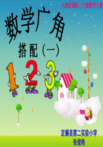人教版新教材二年级上册数学广角----搭配(一)_2