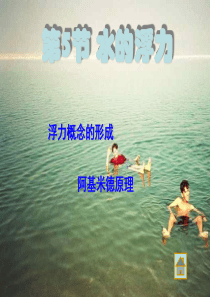 水的浮力--浙教版