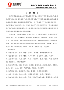 深圳30W光纤激光打标机策划方案