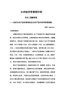 公共经济学案例分析