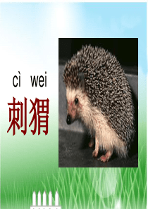 《称赞》ppt课件 5