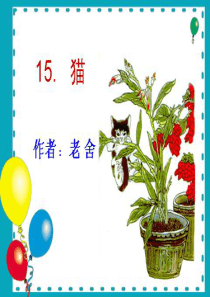 山西小学一年级第1单元第2课_《猫》