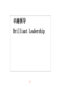 卓越领导