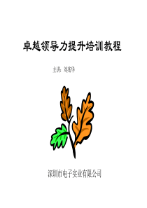 卓越领导力提升培训教程1