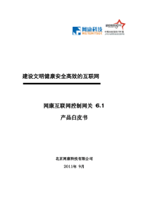网康互联网控制网关6.1 - 产品白皮书