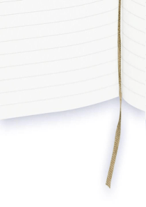 【教科版】2014中考政治复习方案(考点聚焦+考点拓展+考题探究)课件：-又到两会时