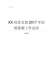 XX局党支部2017年纪检监察工作总结