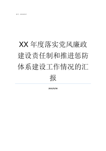 XX年度落实党风廉政建设责任制和推进惩防体系建设工作情况的汇报