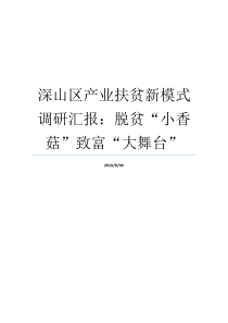 香菇深山新模式舞台行业