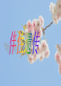 人教版生物必修二2.3伴性遗传(共38张ppt)