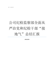 公司纪检监察部全面从严治党和纪检干部接地气总结汇报
