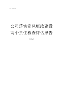 公司落实党风廉政建设两个责任检查评估报告落实党风建设责任汇报
