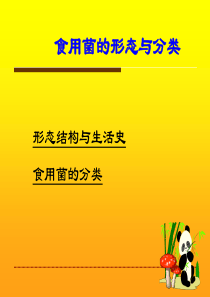 食用菌形态