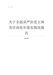 关于全面从严治党主体责任深化年落实情况报告
