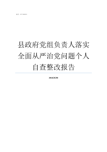 县政府党组负责人落实全面从严治党问题个人自查整改报告县委常委县政府负责人是什么意思