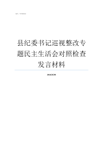 县纪委书记巡视整改专题民主生活会对照检查发言材料市委巡视及巡视整改工作