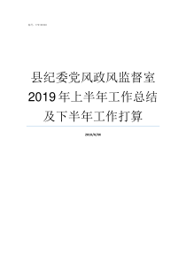 县纪委党风政风监督室2019年上半年工作总结及下半年工作打算党风政风监督室