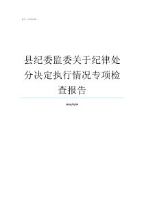 县纪委监委关于纪律处分决定执行情况专项检查报告纪律审查和监委