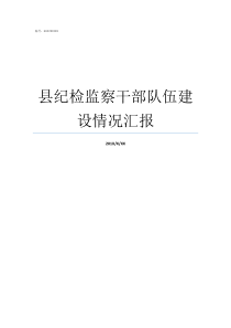县纪检监察干部队伍建设情况汇报纪检监察干部队伍现状
