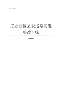 工业园区县委巡察问题整改台账县委巡察组