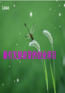 最有发展前景的创业项目