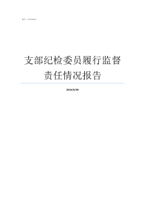支部纪检委员履行监督责任情况报告支部纪检委员如何履职
