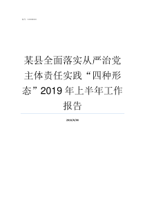 某县全面落实从严治党主体责任实践四种形态2019年上半年工作报告落实从严治党