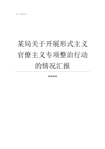某局关于开展形式主义官僚主义专项整治行动的情况汇报形式主义