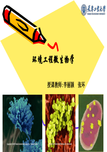 第七章微生物生态