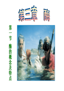 生物化学-PPT课件