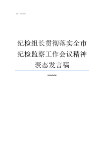 纪检组长贯彻落实全市纪检监察工作会议精神表态发言稿市纪检委书记是什么级别