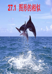 27.1_图形的相似第一课时